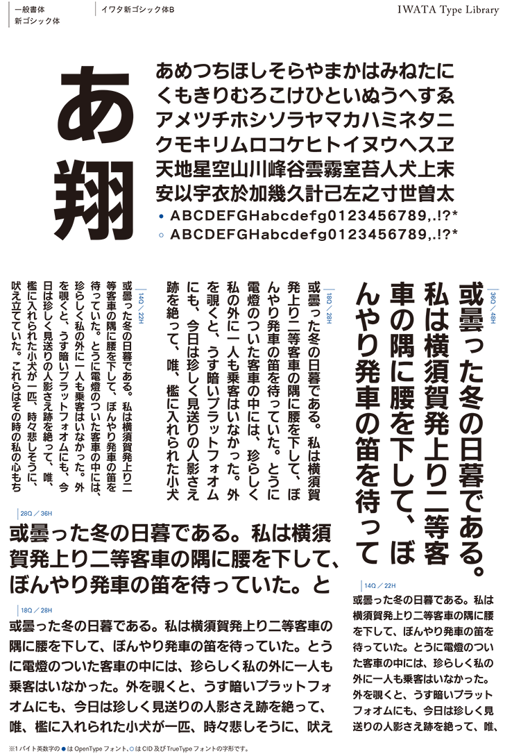 450T イワタ書体ライブラリー Ver.4 Windows版 TrueType イワタ