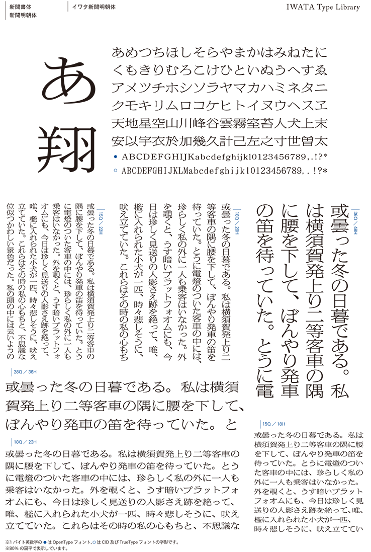 激安アウトレット!】 イワタ 430T イワタ書体ライブラリー Ver.4 Windows版 TrueType イワタ新聞明朝体KJIS