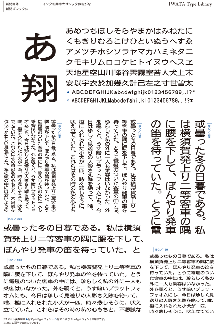 イワタ イワタ書体ライブラリーOpenType(Pro版) イワタUDゴシックR 表示用/本文用 602P｜データ、素材集ソフト（コード販売） 