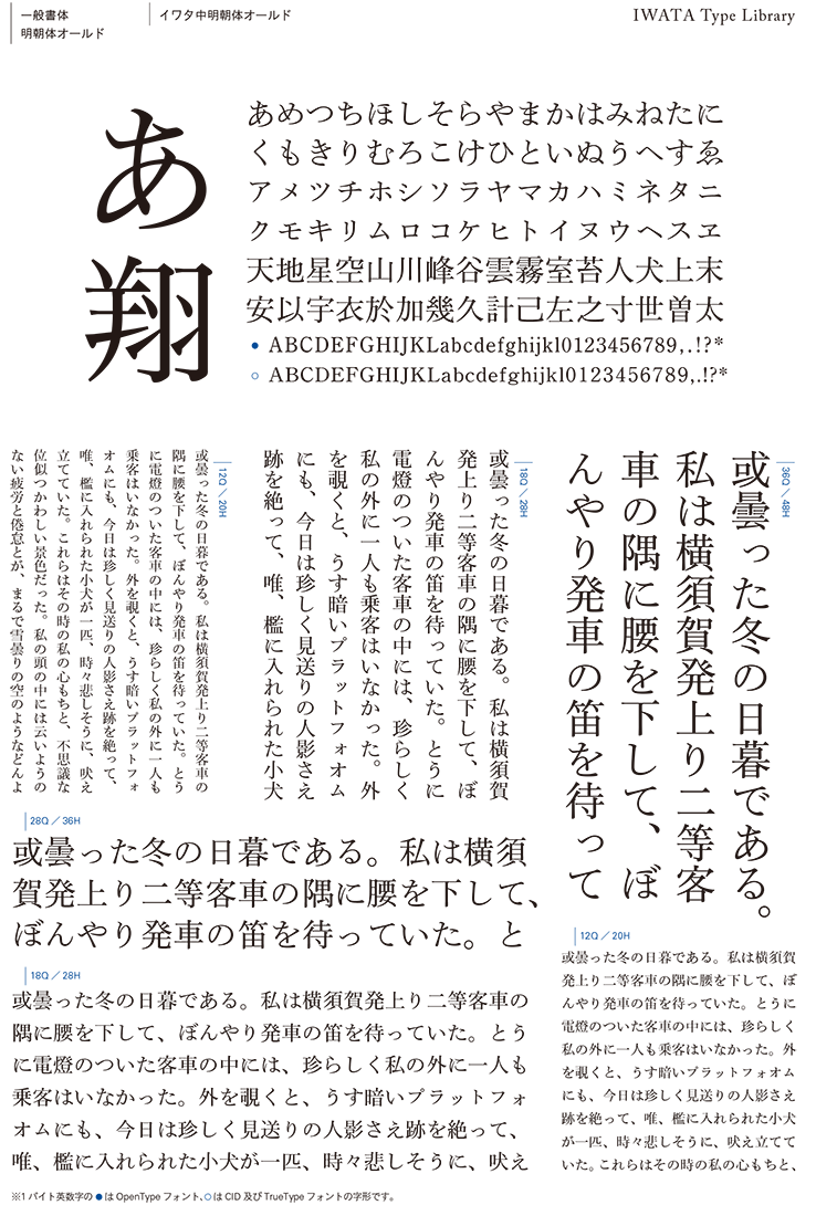 イワタ中明朝体オールドpro 和文 欧文 デザイン書体のダウンロード