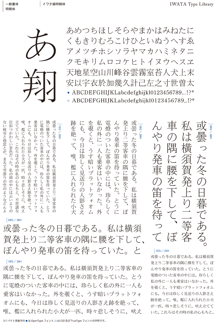 イワタ細明朝体Pro | 和文・欧文・デザイン書体のダウンロード販売 