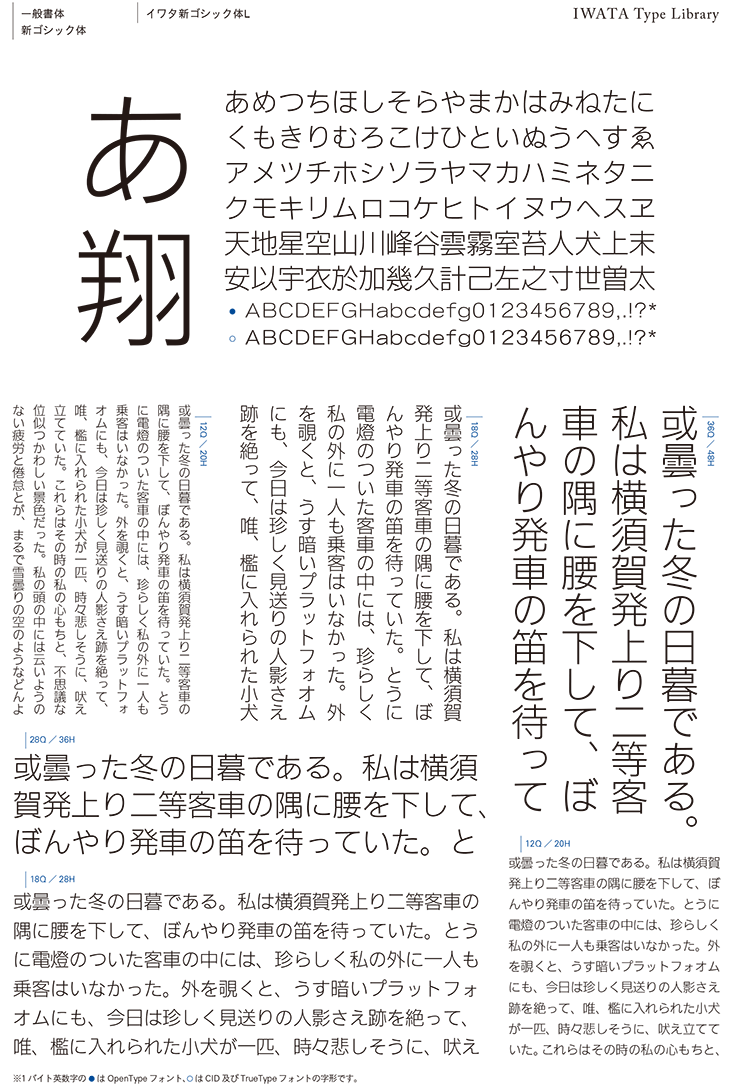 人気国産 イワタ書体ライブラリーOpenType(Pro版) イワタ新聞明朝体新がな 452P リコメン堂 通販 PayPayモール 