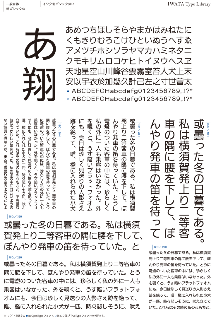 イワタ イワタ書体ライブラリーOpenType(Pro版)G-イワタ細教科書体 464P 通販