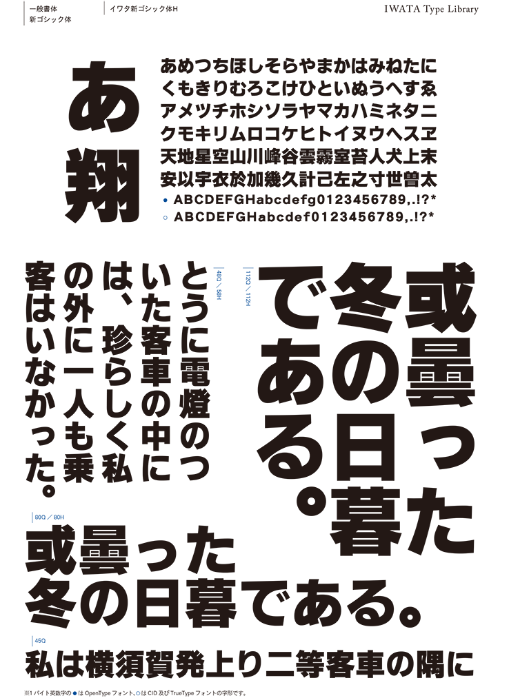 イワタ イワタ書体ライブラリーOpenType Pro版 G-イワタ太教科書体 466P 代引不可 通販