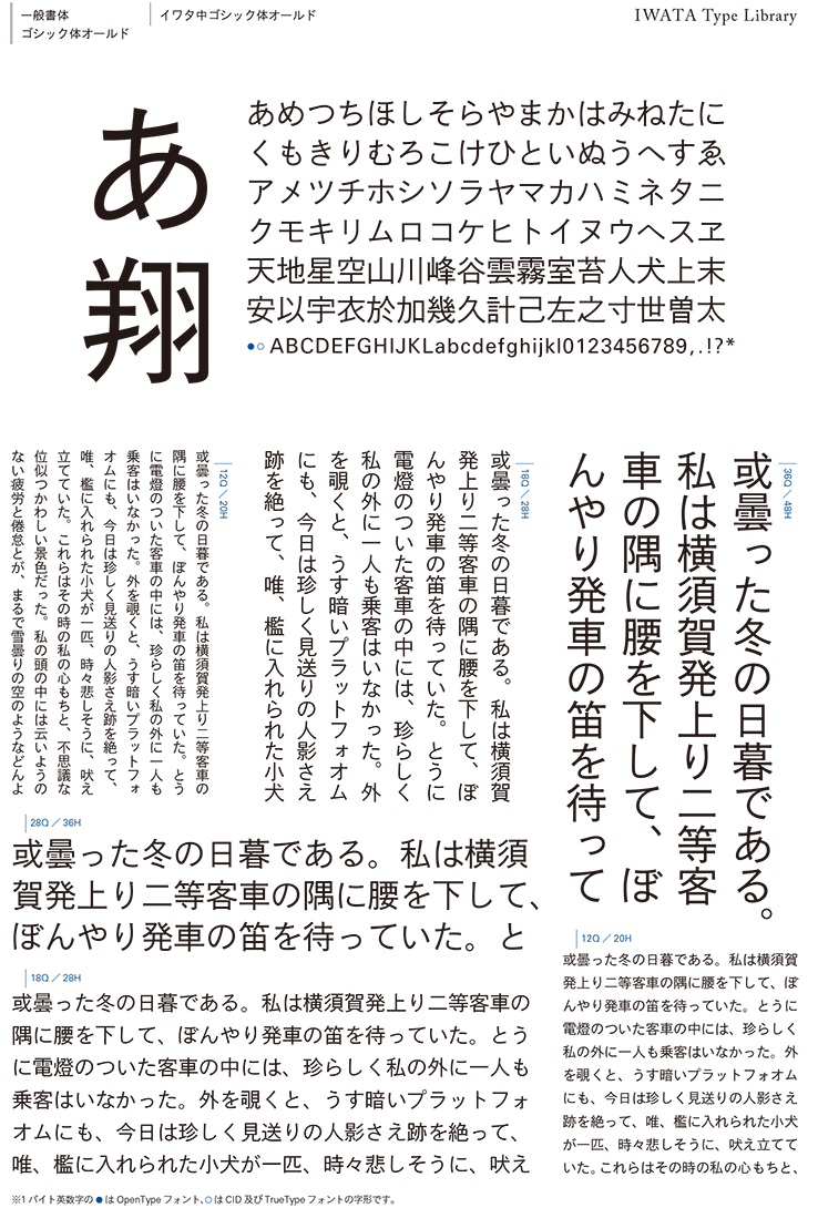 なおぽん 活字 旧1号 ゴシック体 確認中 氏名印