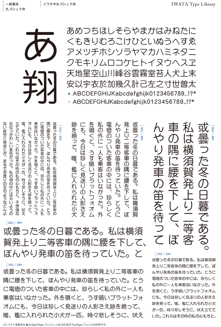 449T イワタ書体ライブラリー Ver.4 Windows版 TrueType イワタ