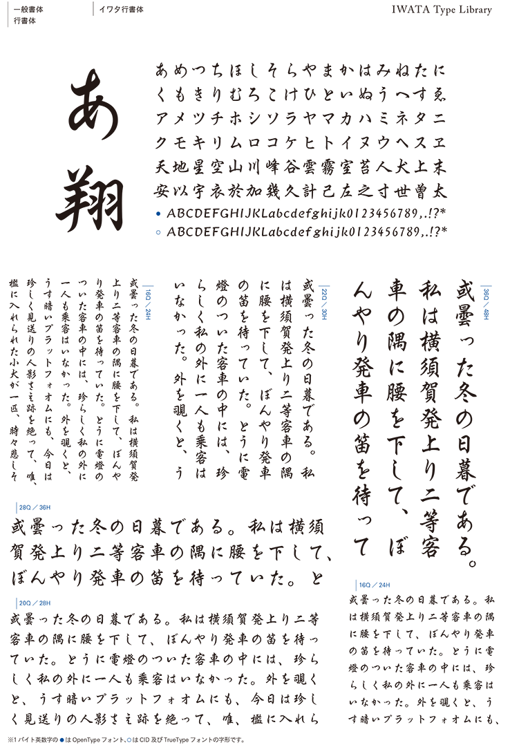 イワタ イワタ書体Library TrueTypeFont Ver.4 新聞中明朝体 新がな Win版