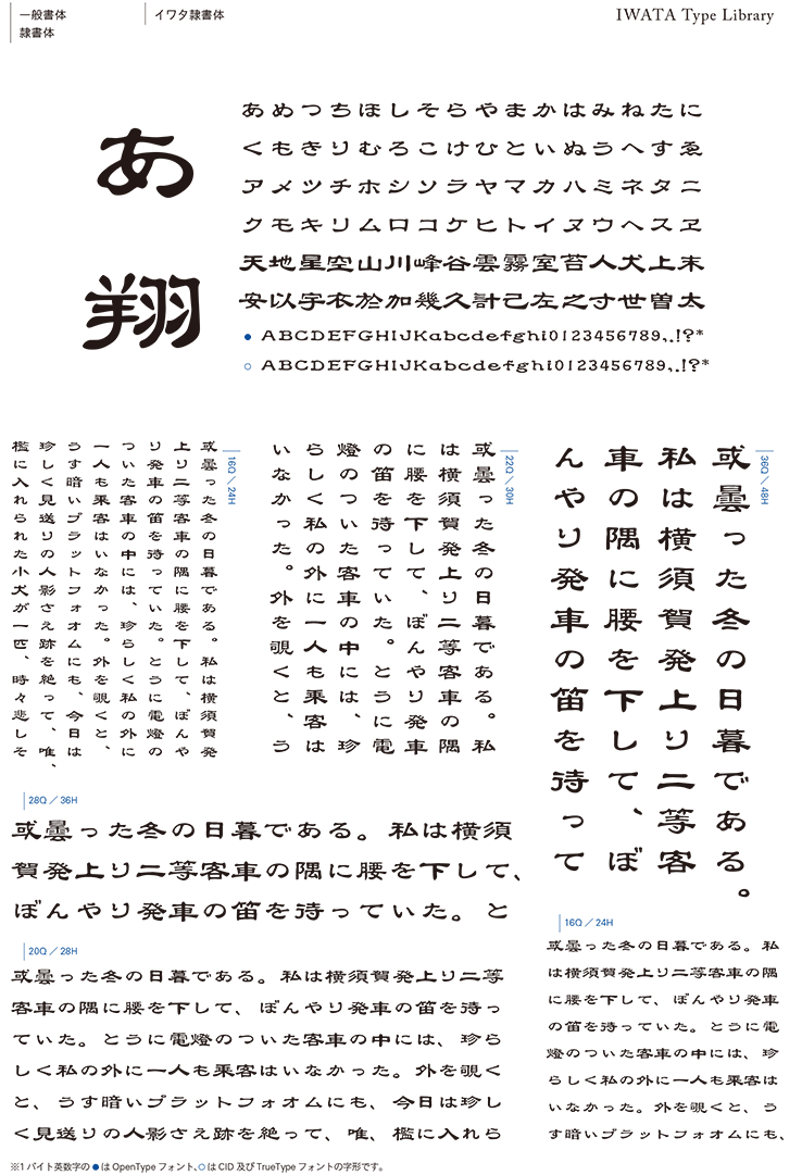 イワタ 416P イワタ書体ライブラリーOpenType(Pro版) イワタ細教科書体 通販
