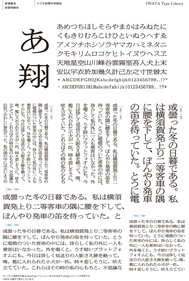 イワタ新聞中明朝体std 和文 欧文 デザイン書体のダウンロード販売