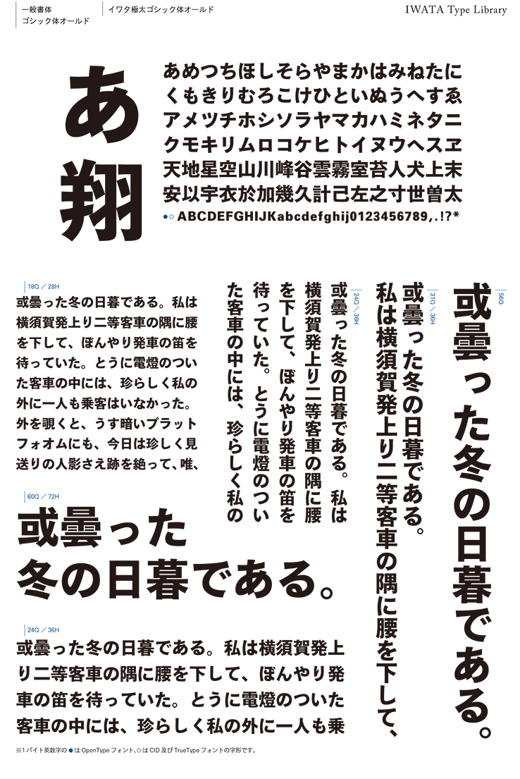 イワタ イワタ書体ライブラリーOpenType(Pro版) イワタ新聞明朝体新がな 452P