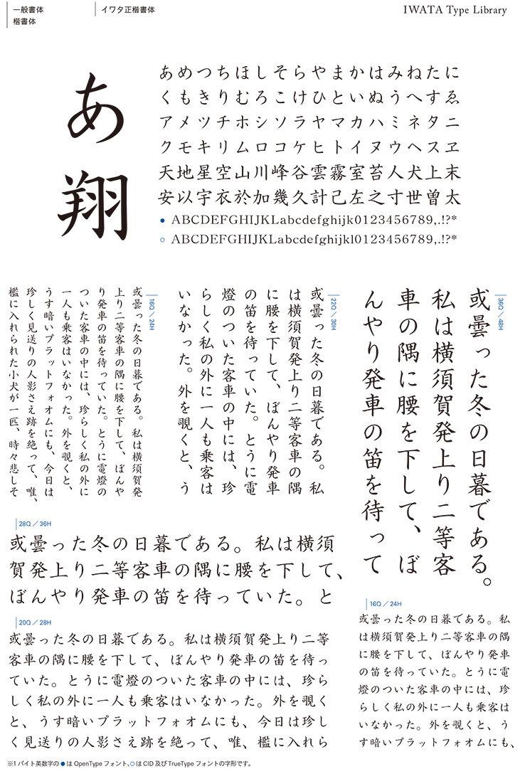 イワタ正楷書体pro 和文 欧文 デザイン書体のダウンロード販売 フォントファクトリー