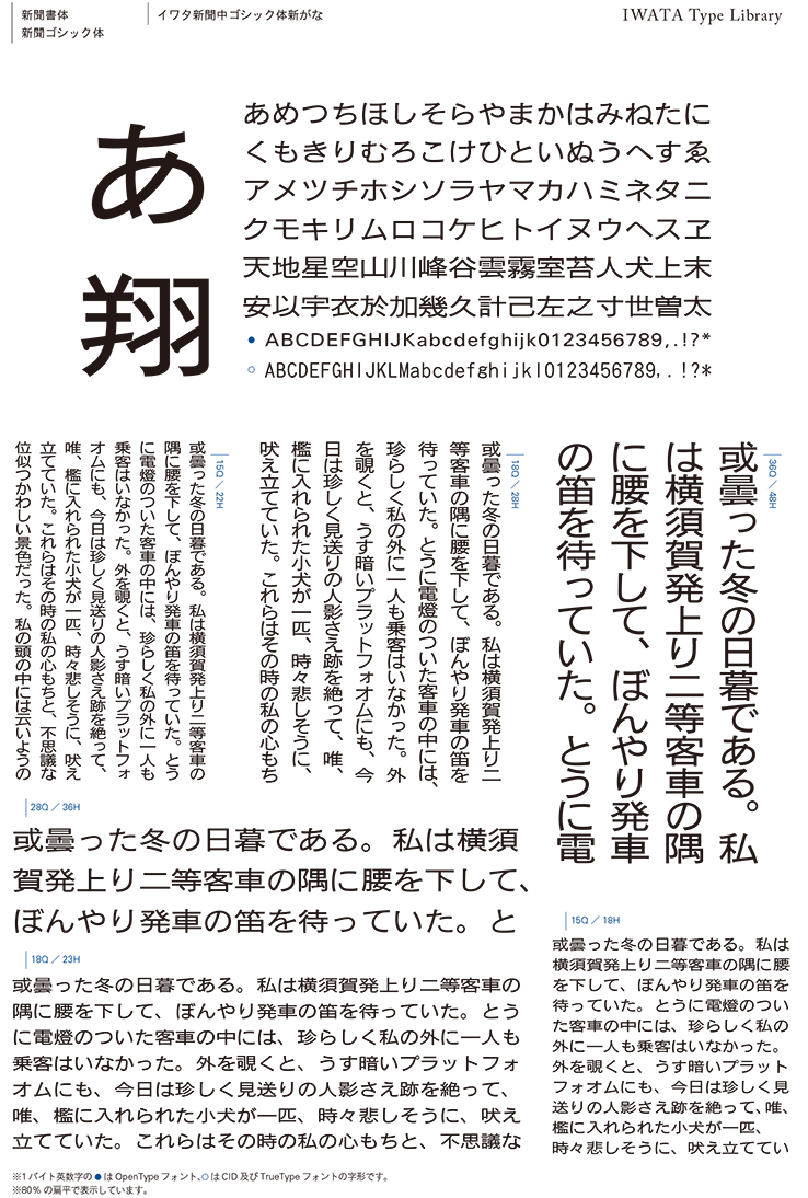 イワタ 437P イワタ書体ライブラリーOpenType(Pro版) イワタ新ゴシック体E 通販