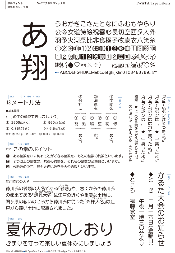 iwata イワタ 405P イワタ書体ライブラリーOpenType(Pro版) イワタ太明朝体｜動画、画像、音楽ソフト（パッケージ版） 